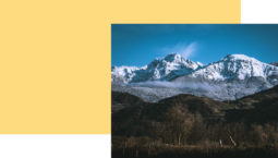COMMUNAUTÉ DE COMMUNES DU MASSIF DU VERCORS  Développer l’économie du Vercors à partir de la demande locale