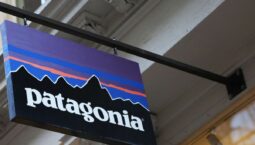 Environnement : Patagonia peut-il faire bouger les lignes du capitalisme?