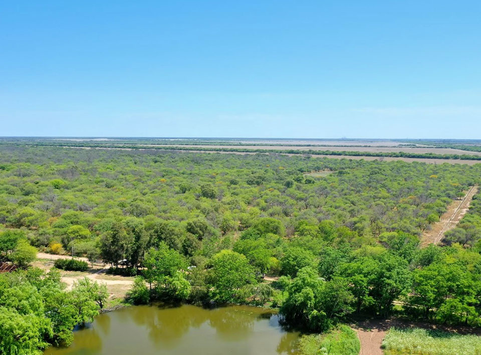 The Gran Chaco- Pathways Towards a Sustainable Future